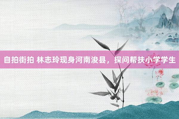 自拍街拍 林志玲现身河南浚县，探问帮扶小学学生