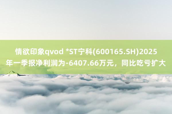 情欲印象qvod *ST宁科(600165.SH)2025年一季报净利润为-6407.66万元，同比吃亏扩大