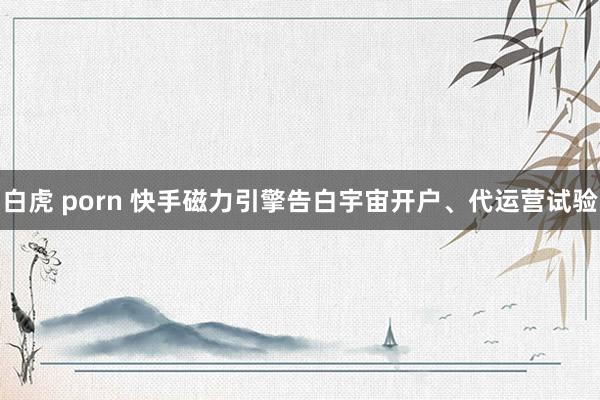 白虎 porn 快手磁力引擎告白宇宙开户、代运营试验