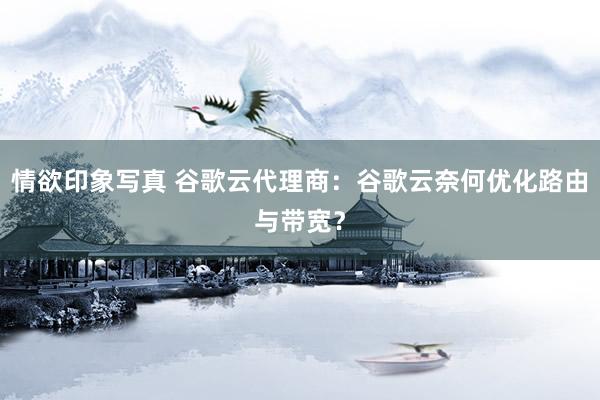 情欲印象写真 谷歌云代理商：谷歌云奈何优化路由与带宽？