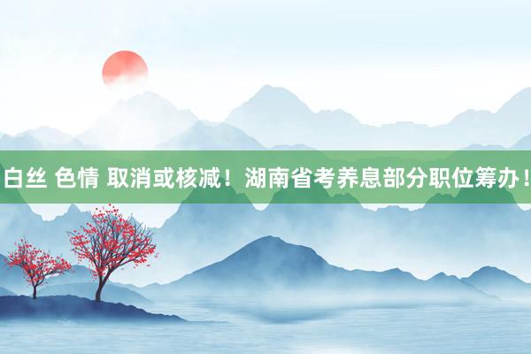 白丝 色情 取消或核减！湖南省考养息部分职位筹办！